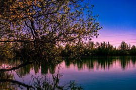 naturalis lucus sur Photoart-Naegele