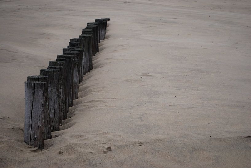 Strand van Ameland von Jetty Boterhoek