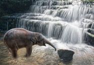 Kleine olifant bij waterval van Marcel van Balken thumbnail