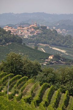 Heuvels van Piemonte met wijngaarden