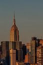 Skyline New York van René Roos thumbnail