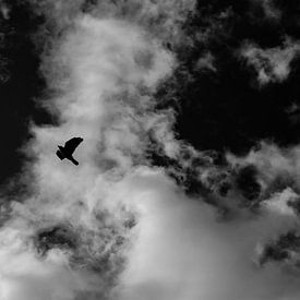Vleugels van Stilte van Rudy Tunderman