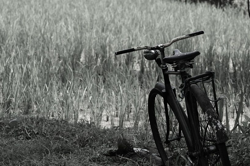 Fiets in het gras zwartwit von Ry Bshvn