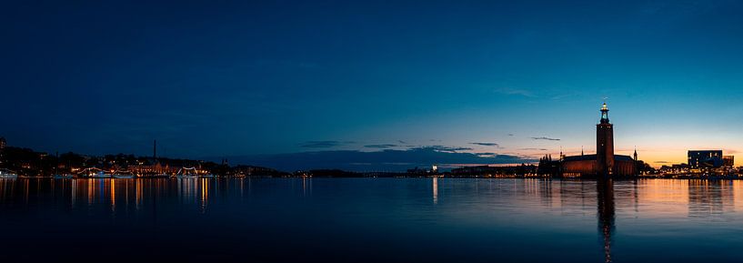 Zonsondergang in Stockholm van Alexander Siccard