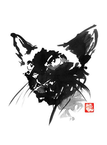 siamesisches Gesicht