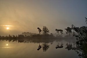 Zonsopkomst Vennengebied III Turnhout Belgie sur Watze D. de Haan