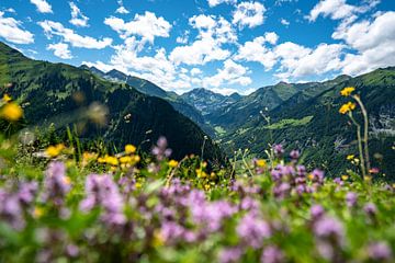 Flowery view of the Swiss Alps by Leo Schindzielorz