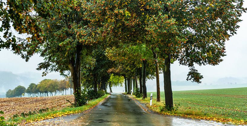 Goldener Herbst von Johnny Flash