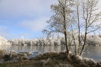 Winter atmosphere at the Schwackenreuter lakes near Mühlingen in Hegau