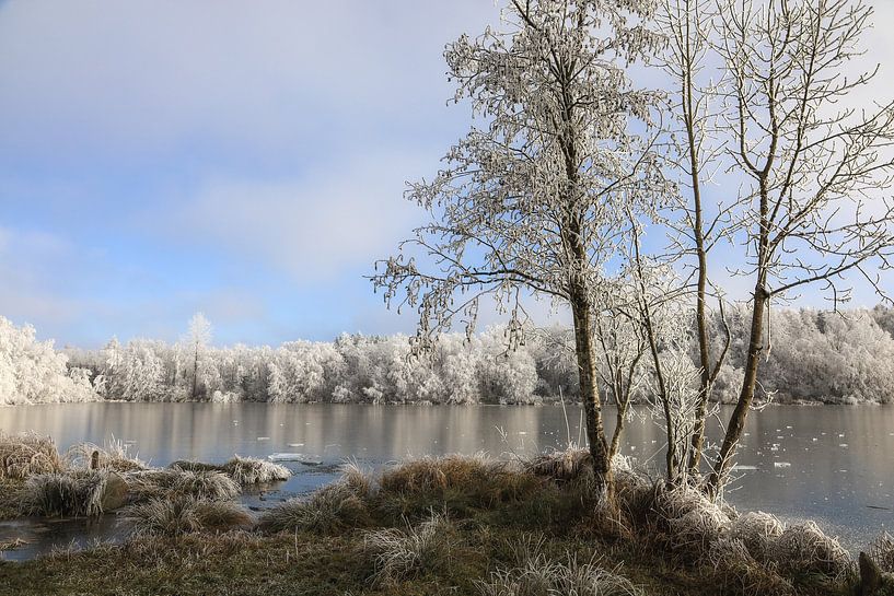 Winterstimmung an den Schwackenreuter Seen bei Mühlingen im Hegau von BlattArt - Christine Horn
