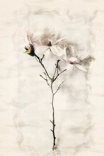 In de tuin van dromen