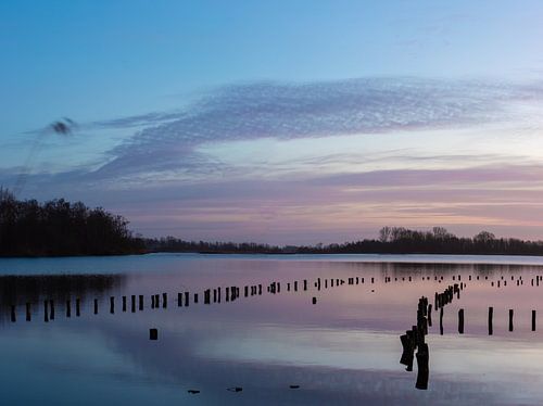 Zonsopkomst Vinkeveen Botshol!