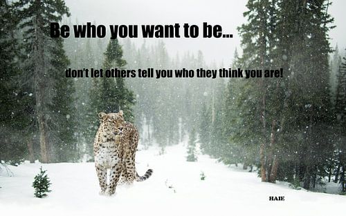 Inspiration "Who do you want to be"