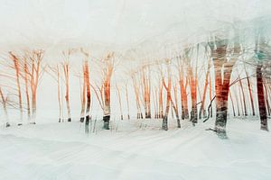 Winterwald in sanftem Licht - Kunstdruck mit verträumter Optik