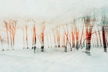 Winterbos in zacht licht – kunstprint met een dromerige uitstr van Vlindertuin-Art
