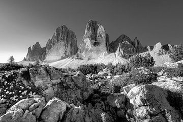 Die drei Zinnen in den Dolomiten an einem klaren Sommertag in schwarzweiß von Manfred Voss, Schwarz-weiss Fotografie