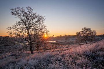Winter Glow by Rob Christiaans