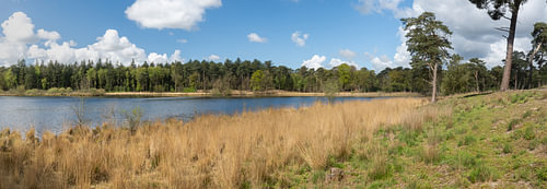Panorama van het natuurlandschap Brabantse Wal