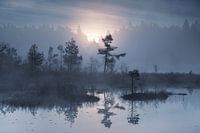 Als de zon wakker wordt