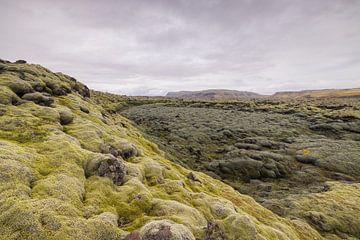 Lava velden Eldhraun (IJsland) van Marcel Kerdijk