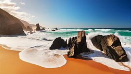 Strand met rotsen in zee