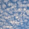 Schapewolken van Kristof Lauwers