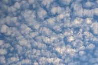 Schapewolken van Kristof Lauwers thumbnail