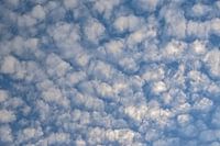 Schapewolken