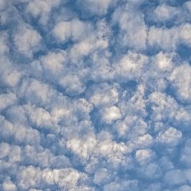 Schapewolken van Kristof Lauwers
