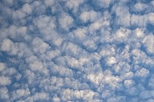 Schapewolken van Kristof Lauwers