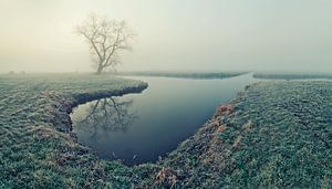 Misty morning van Halma Fotografie