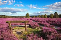 Heide