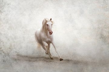 Droompaard | equine | fine art van Laura Dijkslag