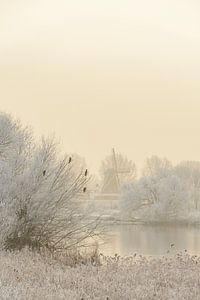 Blick auf den Fluss IJssel bei Kampen im Winter