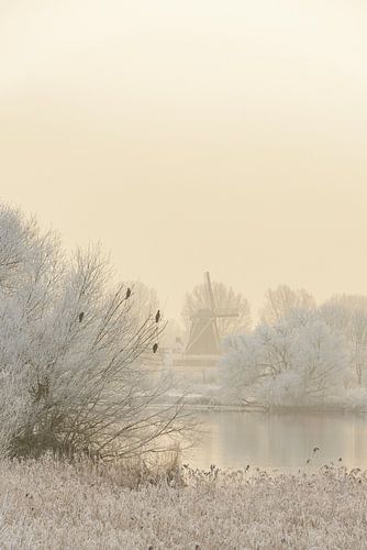 De IJssel bij Kampen in de winter