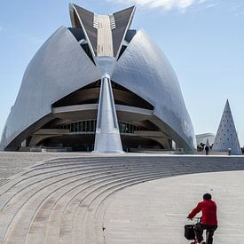 Palau de les artes Reina sofia in Valencia van Eric van Nieuwland