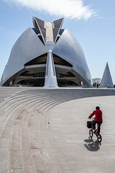 Palau de les artes Reina sofia in Valencia van Eric van Nieuwland