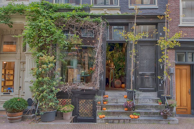 Pumpkin time by Peter Bartelings