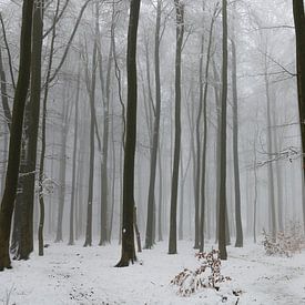 Ombres vagues dans la lumière de l'hiver sur Bert Heuvels