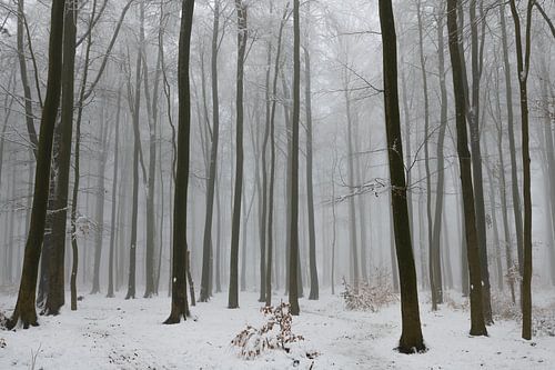 Ombres vagues dans la lumière de l'hiver sur Bert Heuvels
