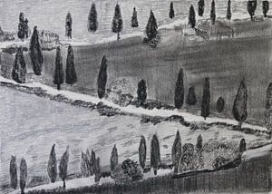 Pijnbomen in Toscane (Pines in Tuscany, Kiefern in Toskana , Pins en Toscane)