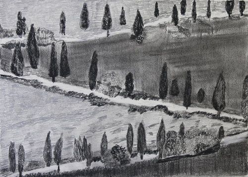 Pijnbomen in Toscane (Pines in Tuscany, Kiefern in Toskana , Pins en Toscane)