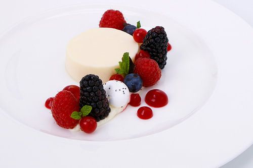 Vanille bavarois met rood fruit