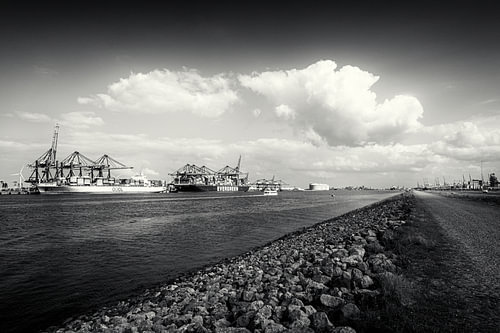 Container Terminal, Two Ships