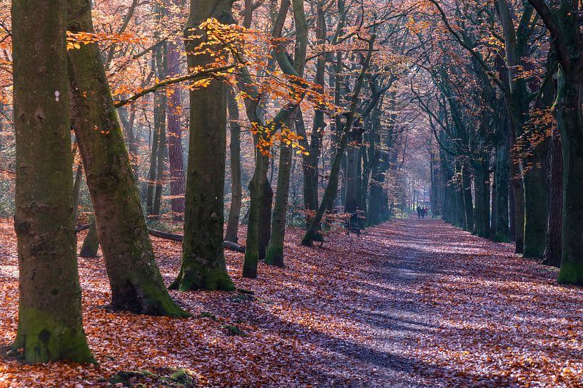 In the distance by peterheinspictures