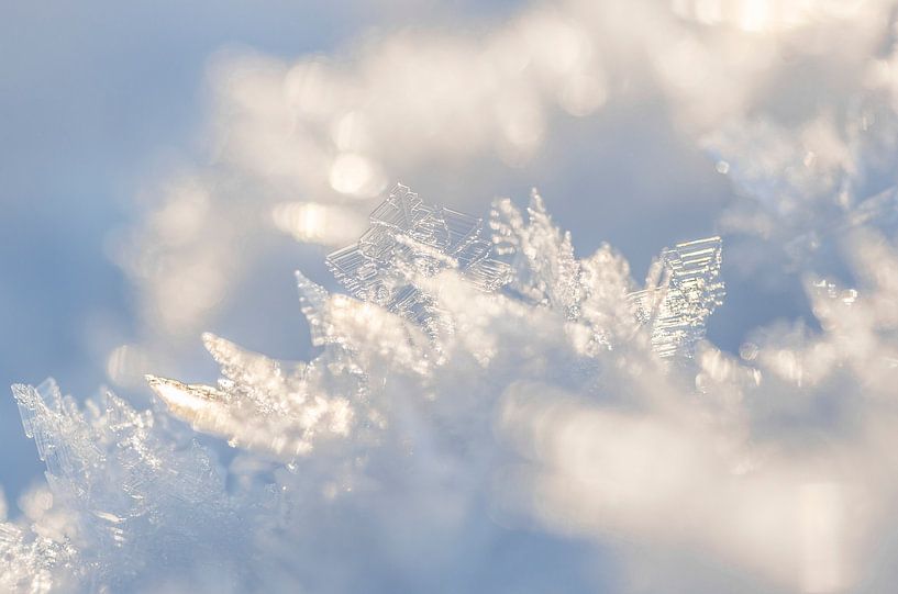Winter Tale by KSB Photography