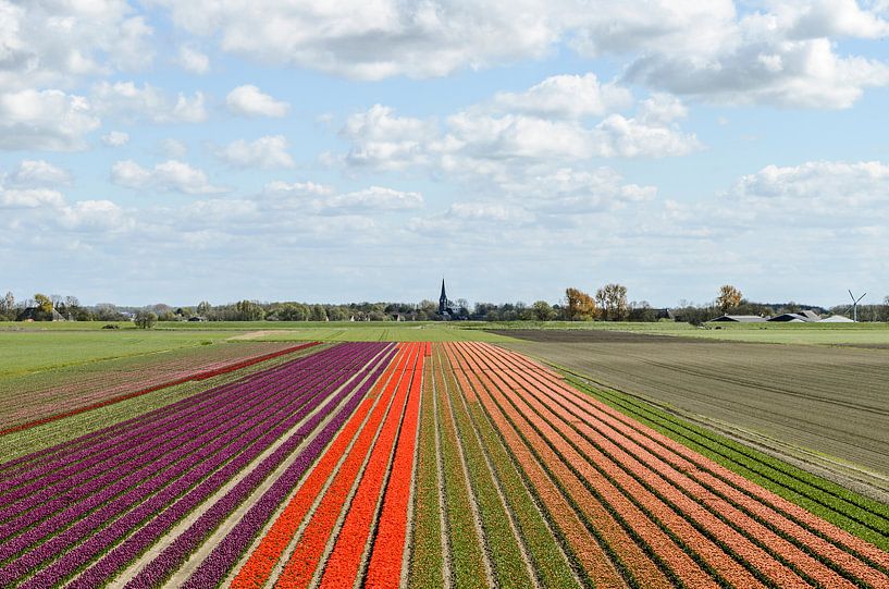 Tulpen uit.... van Marnefoto .nl