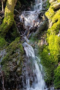 Kleiner Wasserfall im Wald mit grünem Moos im Frühjahr Spirituelle Entspannung vertikal
