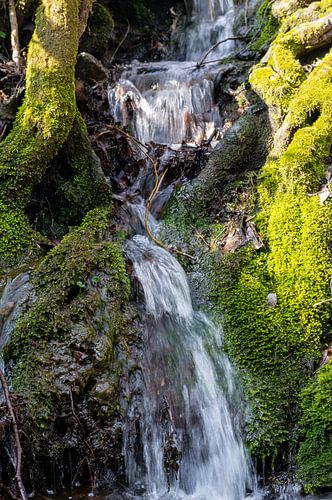 Kleine waterval in het bos met groen mos in de lente Spirituele ontspanning verticaal van Animaflora PicsStock