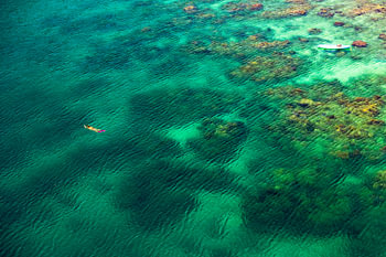 Schwimmer im türkis grünen Meer in der Karibik
